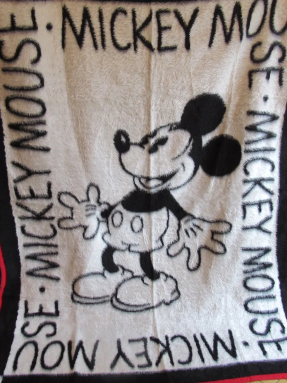 Vintage Biederlack Throw Disney/Mickey Mouse Reversible